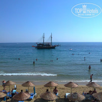 фото из отзыва ID 522445