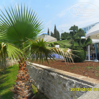 фото из отзыва ID 522715