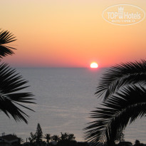 фото из отзыва ID 523540