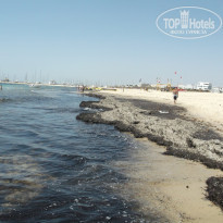 фото из отзыва ID 523777