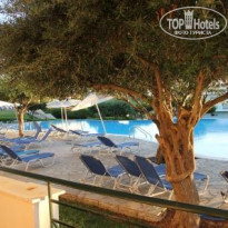 фото из отзыва ID 524042