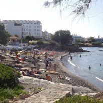 фото из отзыва ID 524077