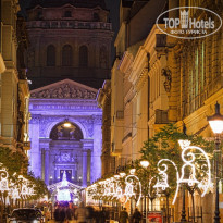 фото из отзыва ID 524140