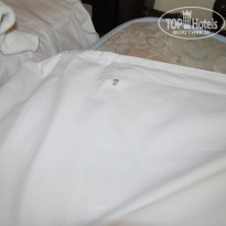 фото из отзыва ID 524337