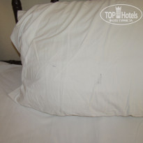 фото из отзыва ID 524337