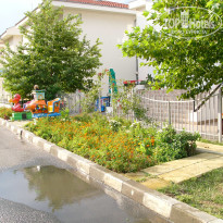 фото из отзыва ID 524344