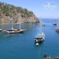 фото из отзыва ID 524623