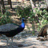 фото из отзыва ID 525036