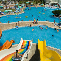 фото из отзыва ID 525125