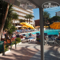 фото из отзыва ID 525322