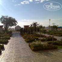 фото из отзыва ID 525386