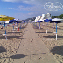 фото из отзыва ID 525386