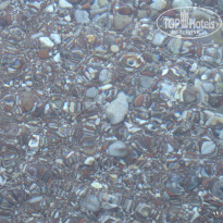 фото из отзыва ID 525637