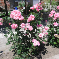 фото из отзыва ID 526261