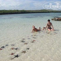 фото из отзыва ID 526485