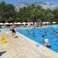 фото из отзыва ID 526675