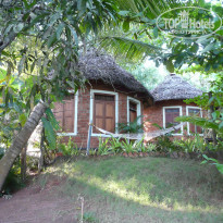 фото из отзыва ID 526933