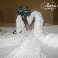 фото из отзыва ID 526949