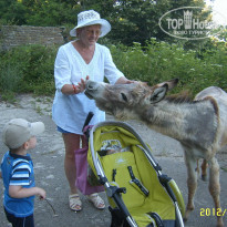 фото из отзыва ID 526261