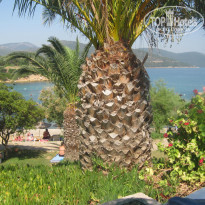 фото из отзыва ID 527296