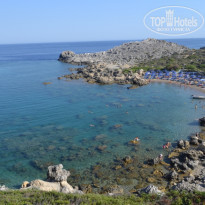 фото из отзыва ID 527589