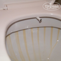 фото из отзыва ID 527669