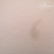 фото из отзыва ID 527669