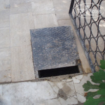 фото из отзыва ID 527774