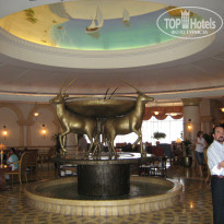 фото из отзыва ID 527779