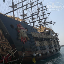 фото из отзыва ID 528024