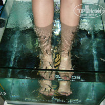 фото из отзыва ID 528146