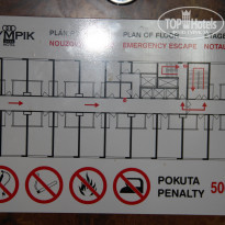 фото из отзыва ID 528210