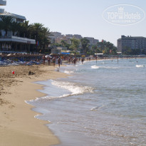 фото из отзыва ID 528247