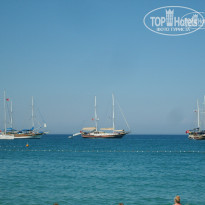 фото из отзыва ID 528370