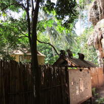 фото из отзыва ID 528389