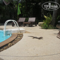 фото из отзыва ID 528389