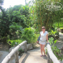 фото из отзыва ID 528389