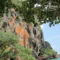 фото из отзыва ID 528389