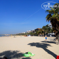 фото из отзыва ID 528394