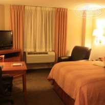 фото из отзыва ID 528403