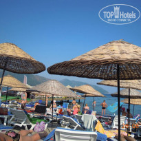 фото из отзыва ID 528815