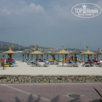 фото из отзыва ID 529100