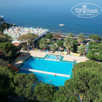 фото из отзыва ID 529197