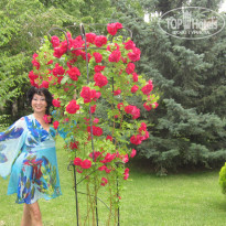 фото из отзыва ID 529238