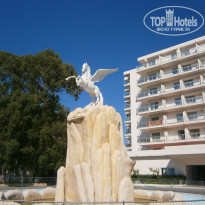 фото из отзыва ID 529316