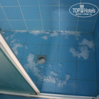 фото из отзыва ID 529806