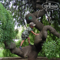 фото из отзыва ID 529856