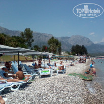 фото из отзыва ID 529927