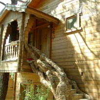 фото из отзыва ID 5305