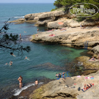 фото из отзыва ID 530046